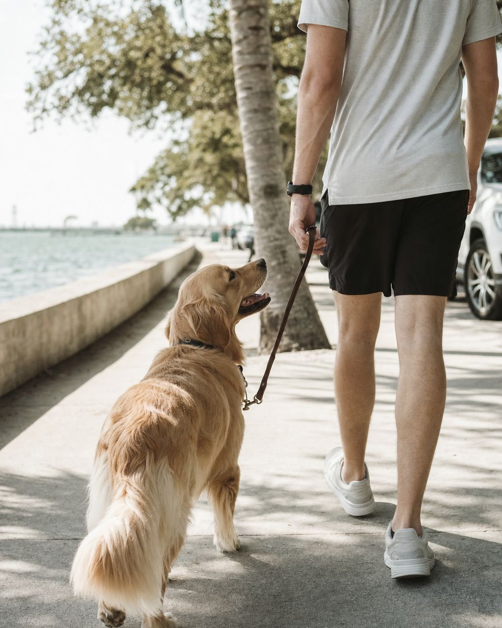 A golden retriever holding a heel position on a busy waterfront sidewalk beside its handler.