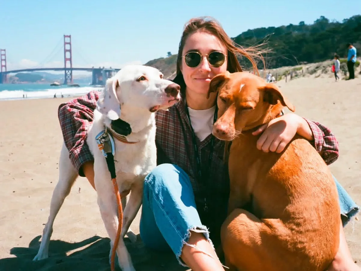 Goose, a white English pointer, sitting on the beach beside his owner and another dog.